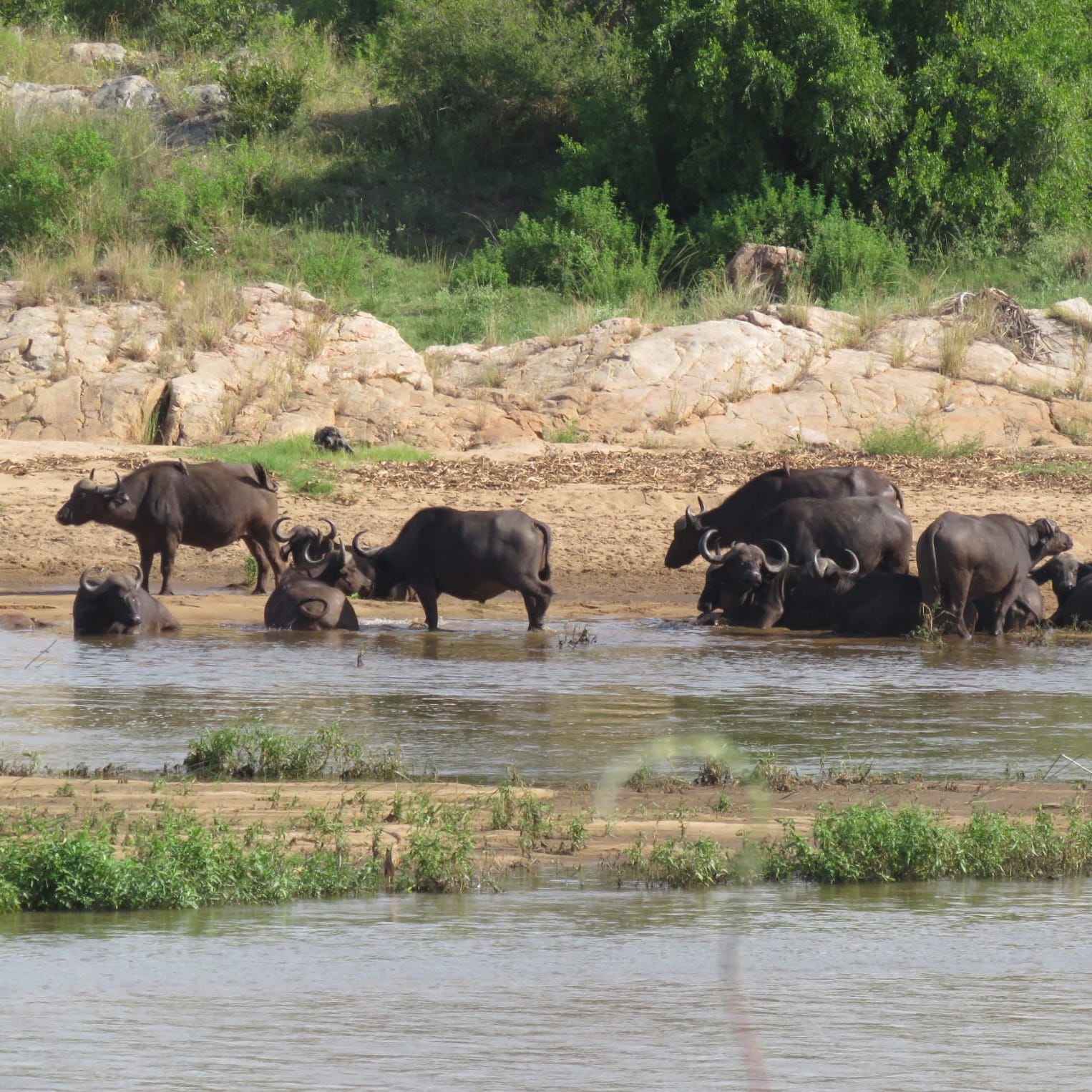 river%2011.jpeg